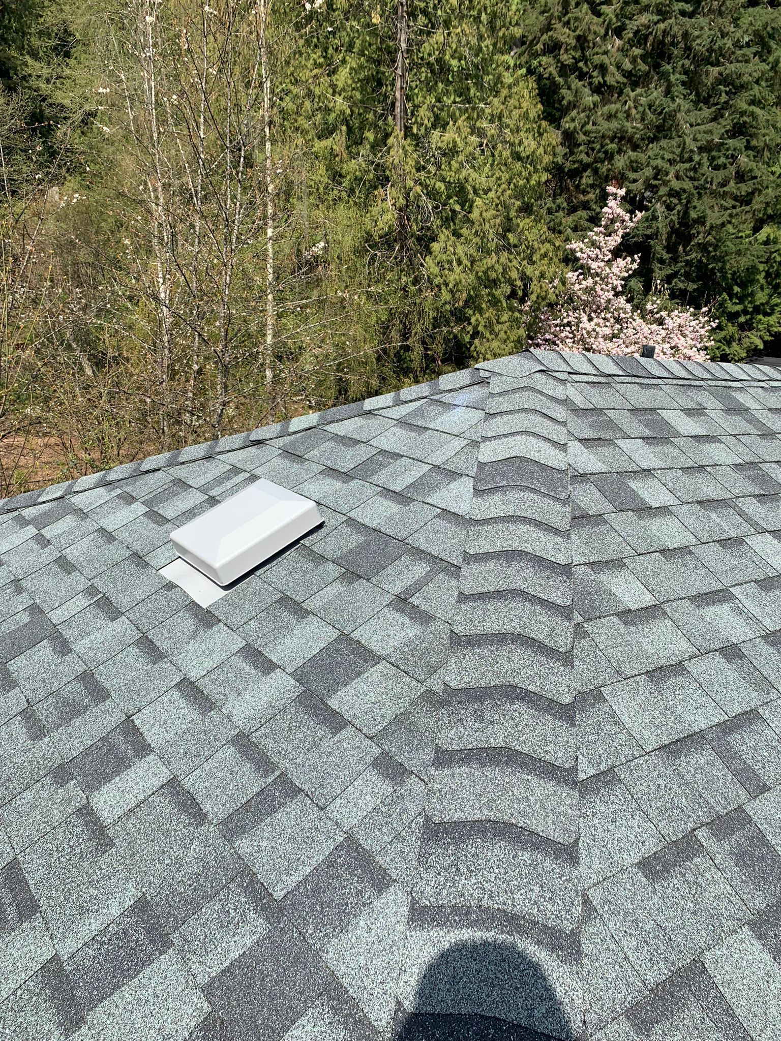 A roof with a vent on it and trees in the background.