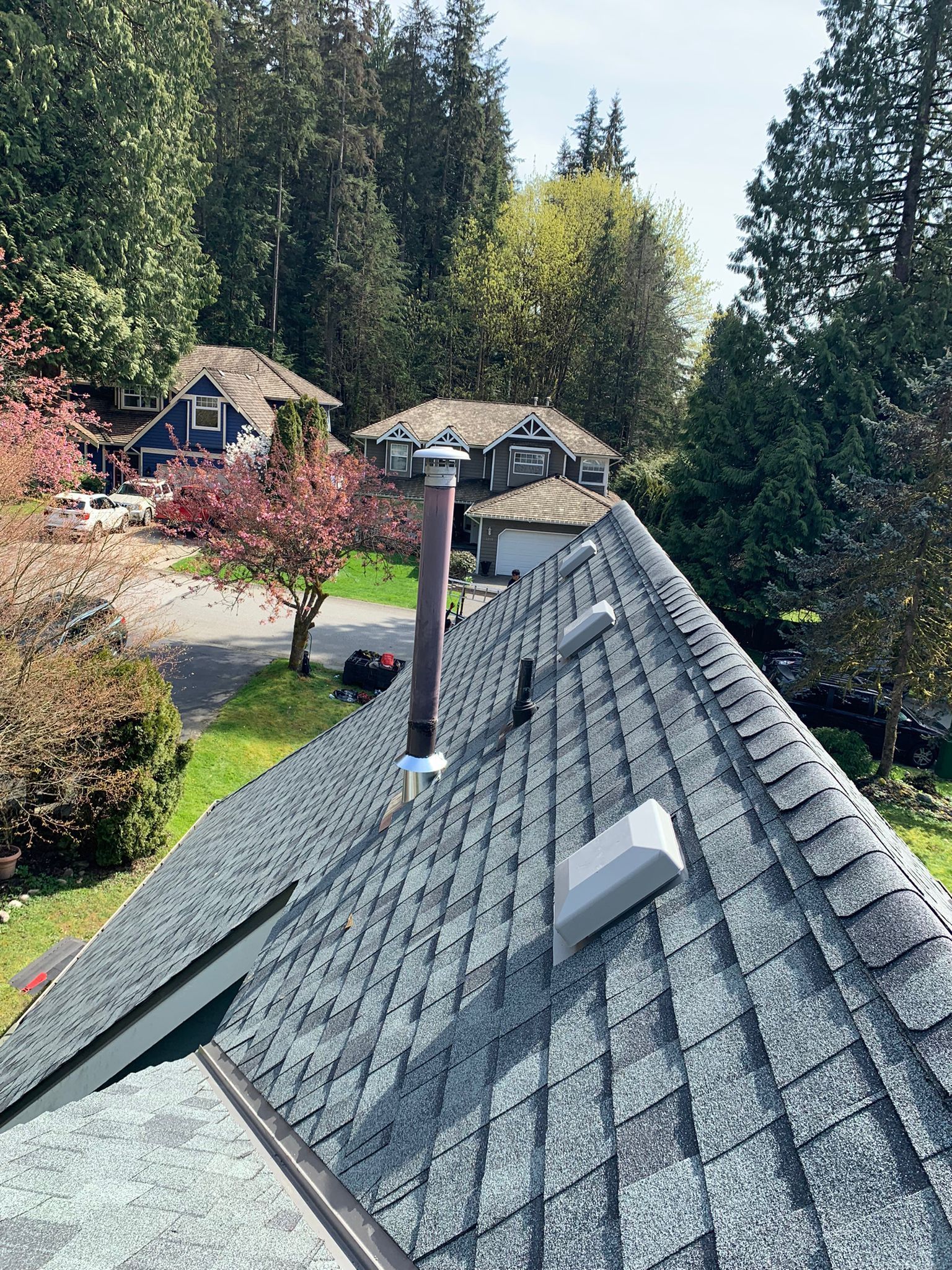 The roof of a house with a chimney on it is surrounded by trees.