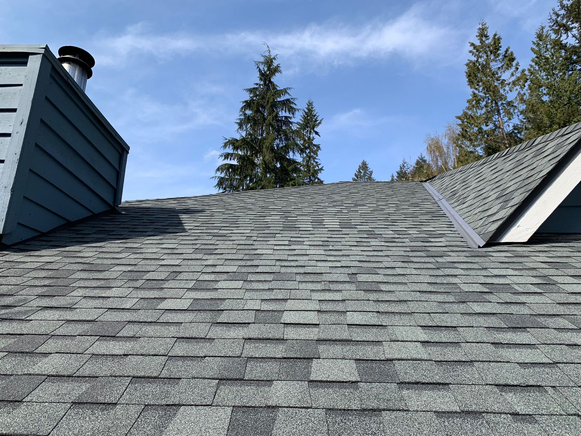 A close up of a roof with a chimney and trees in the background.