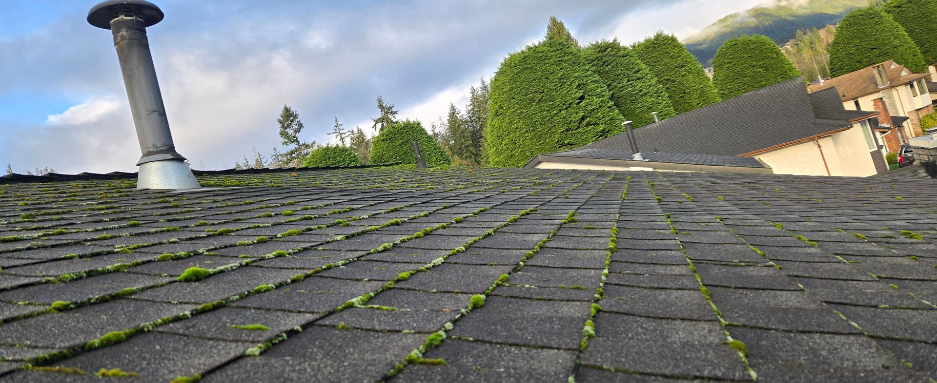 vancouver reroofing services for replacement roof