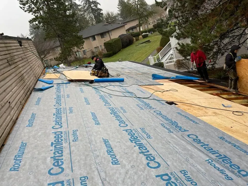 Workers install plywood decking on a residential roof covered with CertainTeed synthetic underlayment.