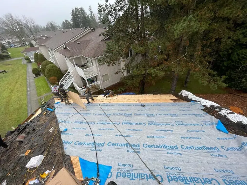 Workers in protective gear install plywood sheeting on a residential roof covered with blue underlayment.