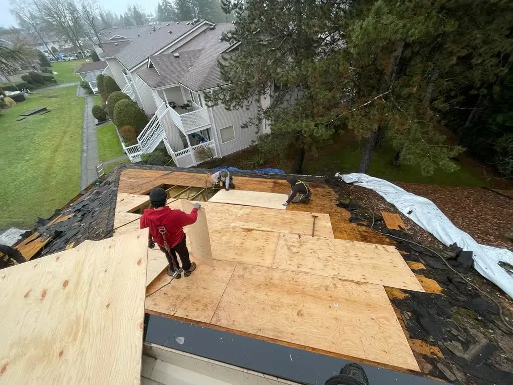 Person on a rooftop under repair, with plywood sheets and tarps on a rainy suburban home