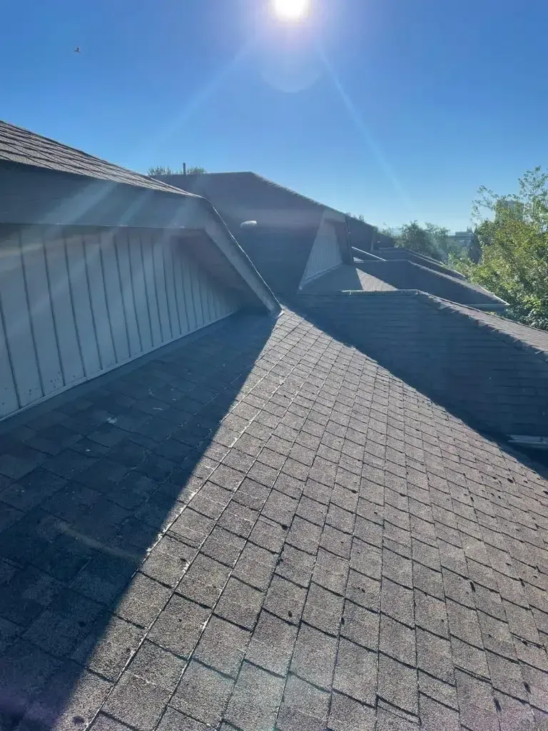 An elevated view of shingled roof slopes meeting at a valley under a bright sun and clear blue sky.
