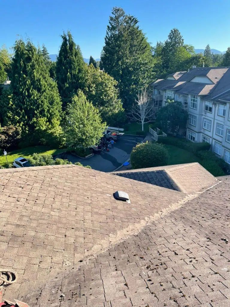 An elevated view of a brown asphalt shingle roof, overlooking a parking lot, green trees, and an adjacent apartment complex.