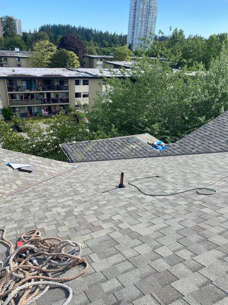 A view from a residential shingled roof looking out toward trees and an apartment complex under a bright blue sky.