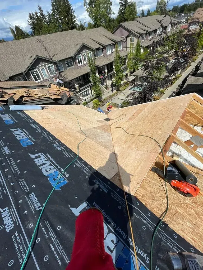 A person is standing on top of a roof.