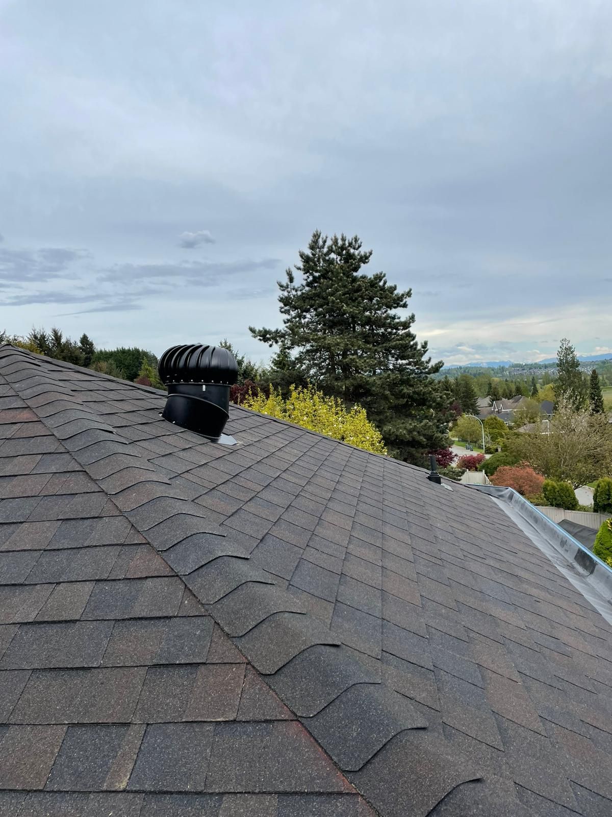flat roofing costs