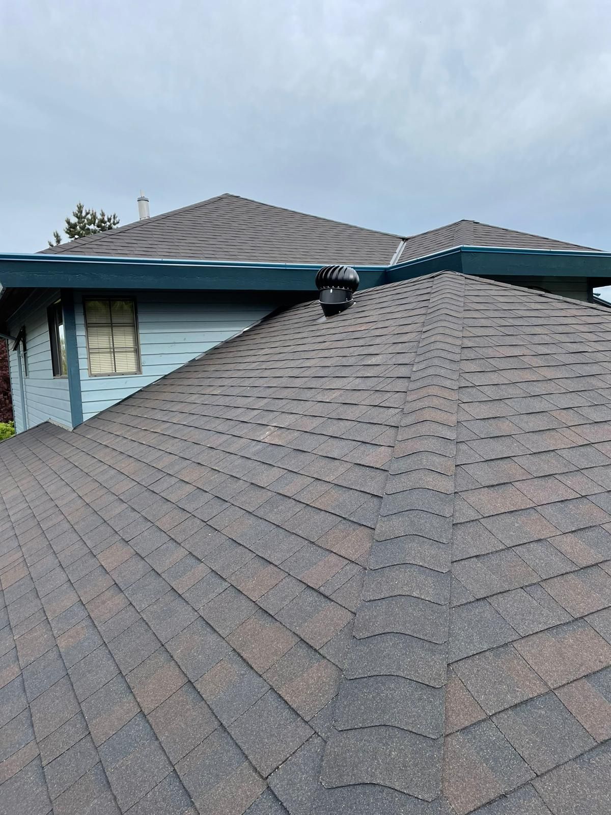 skylight replacement surrey