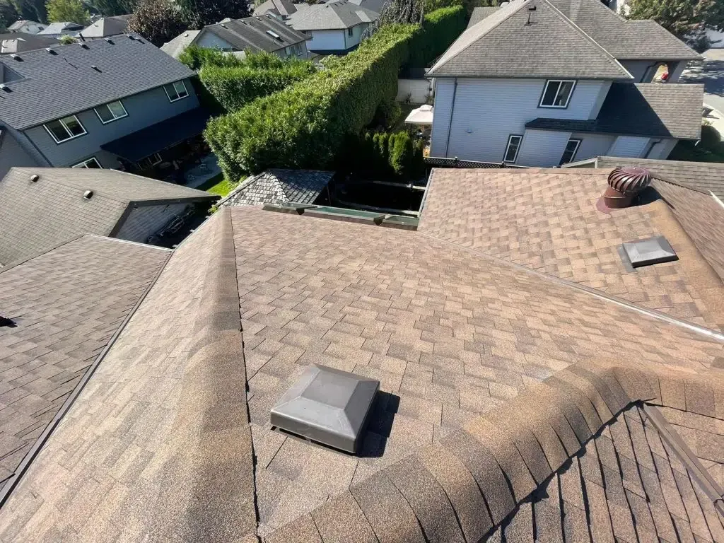 Aerial view of tan shingle rooftops in a suburban neighborhood, with a few skylights and chimneys.