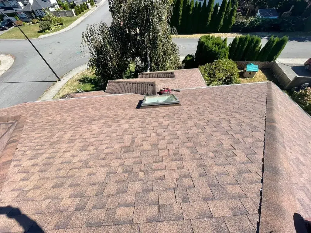 A high-angle view of a brown shingled roof with two skylights, overlooking a suburban street and trees.