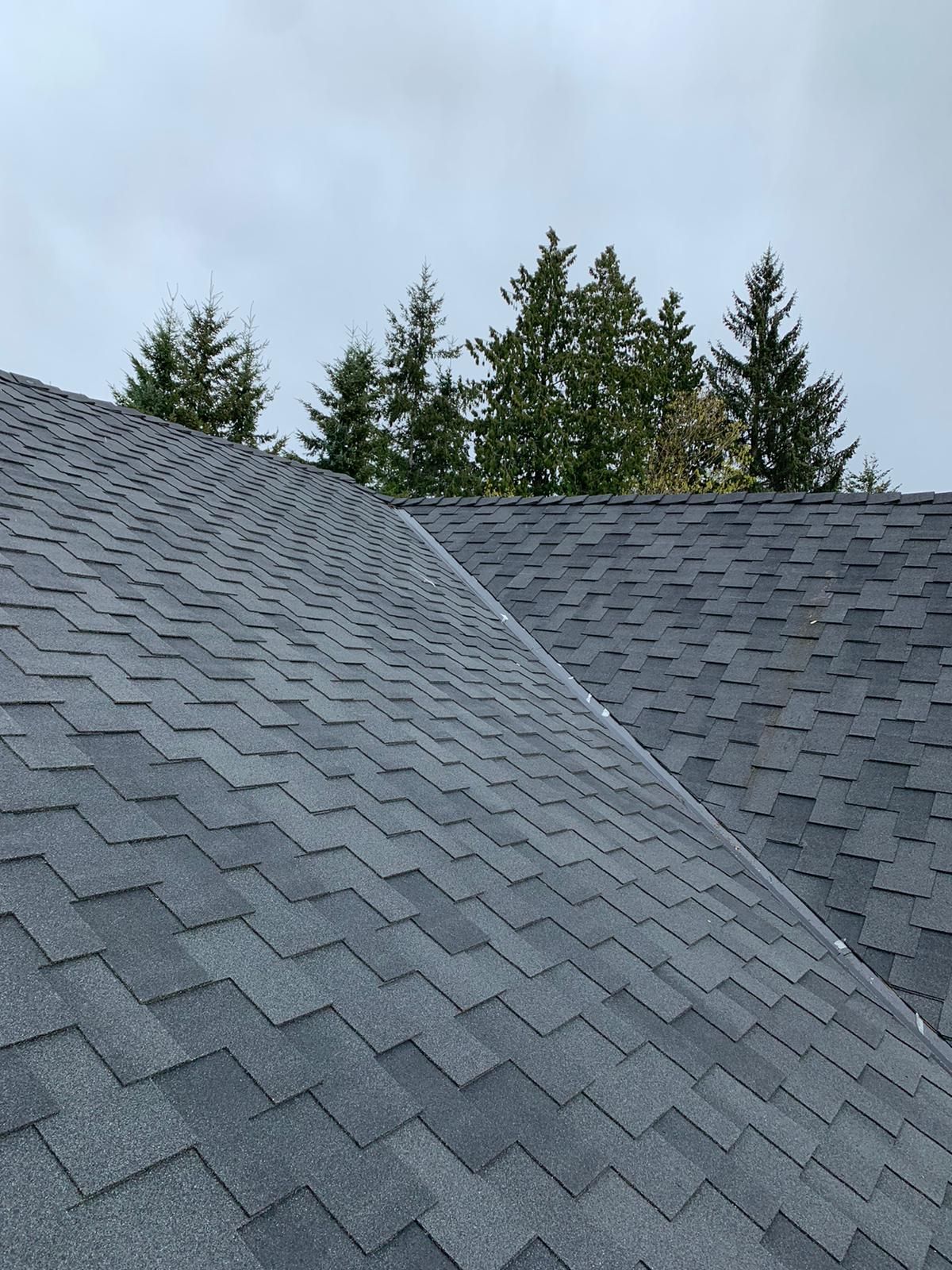A close-up of a residential roof showing dark gray shingle patterns meeting at a valley, with pine trees in the background.