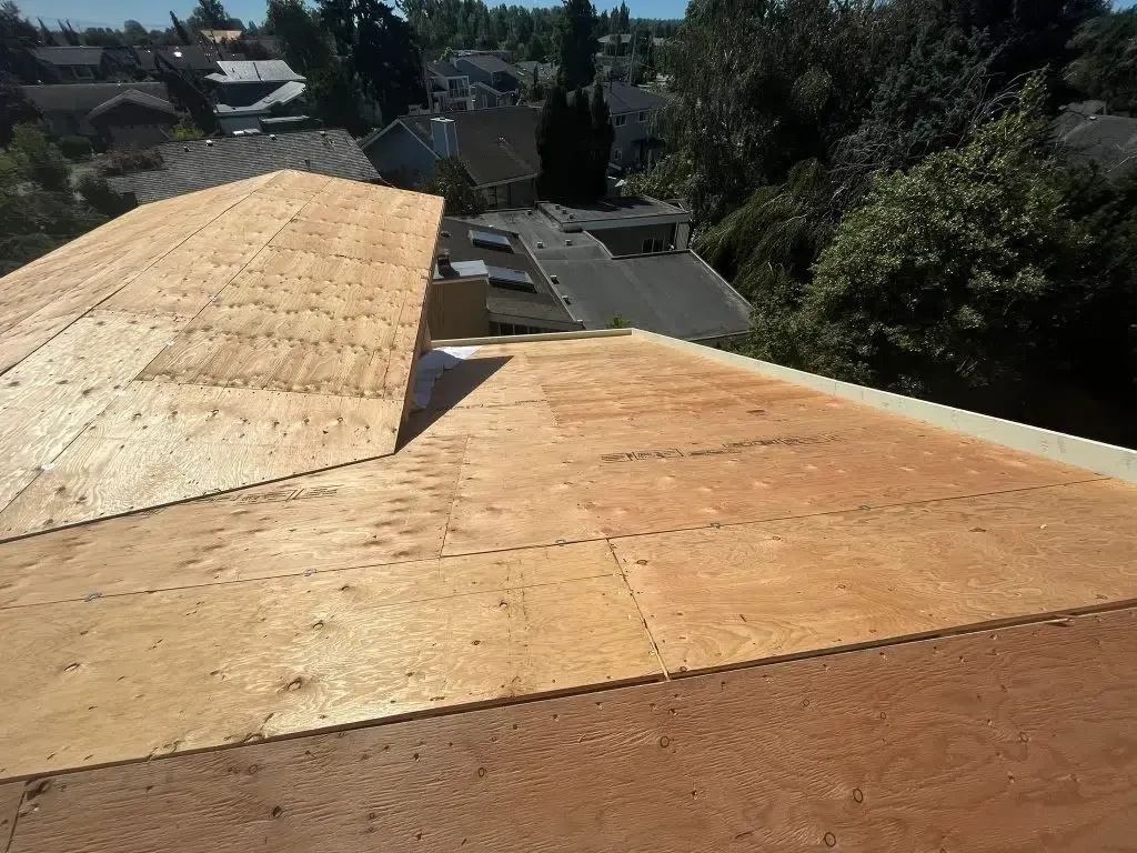 A roof under construction featuring new, light-brown plywood decking panels installed over wooden framing.