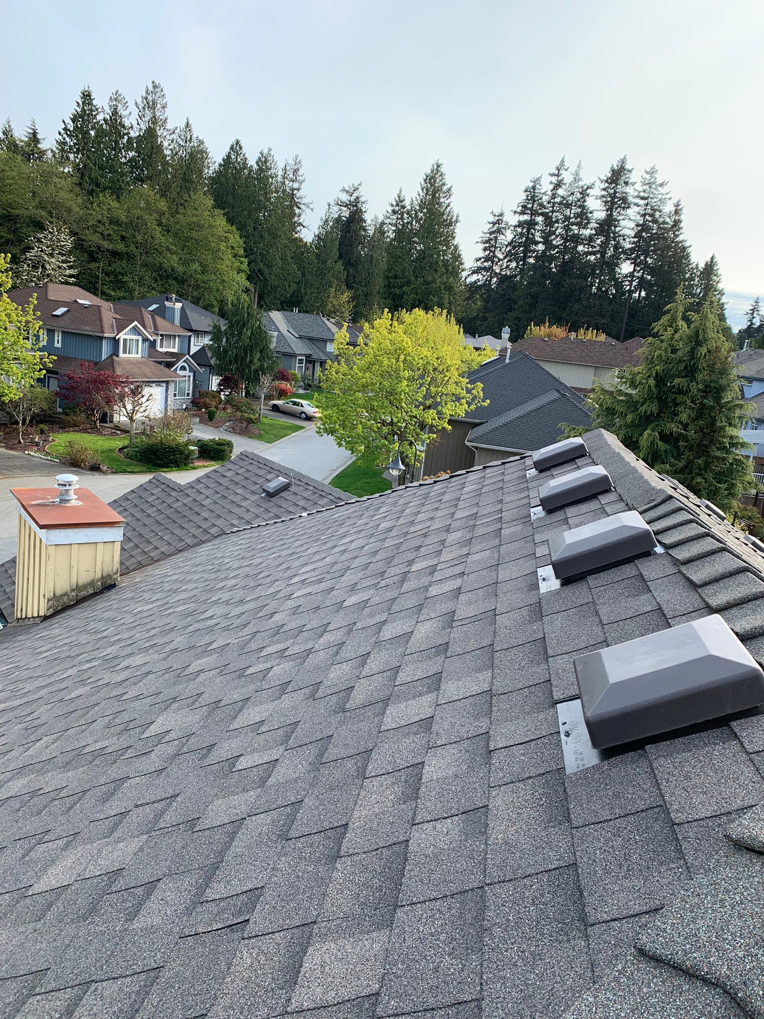 The roof of a house with a lot of windows and trees in the background.