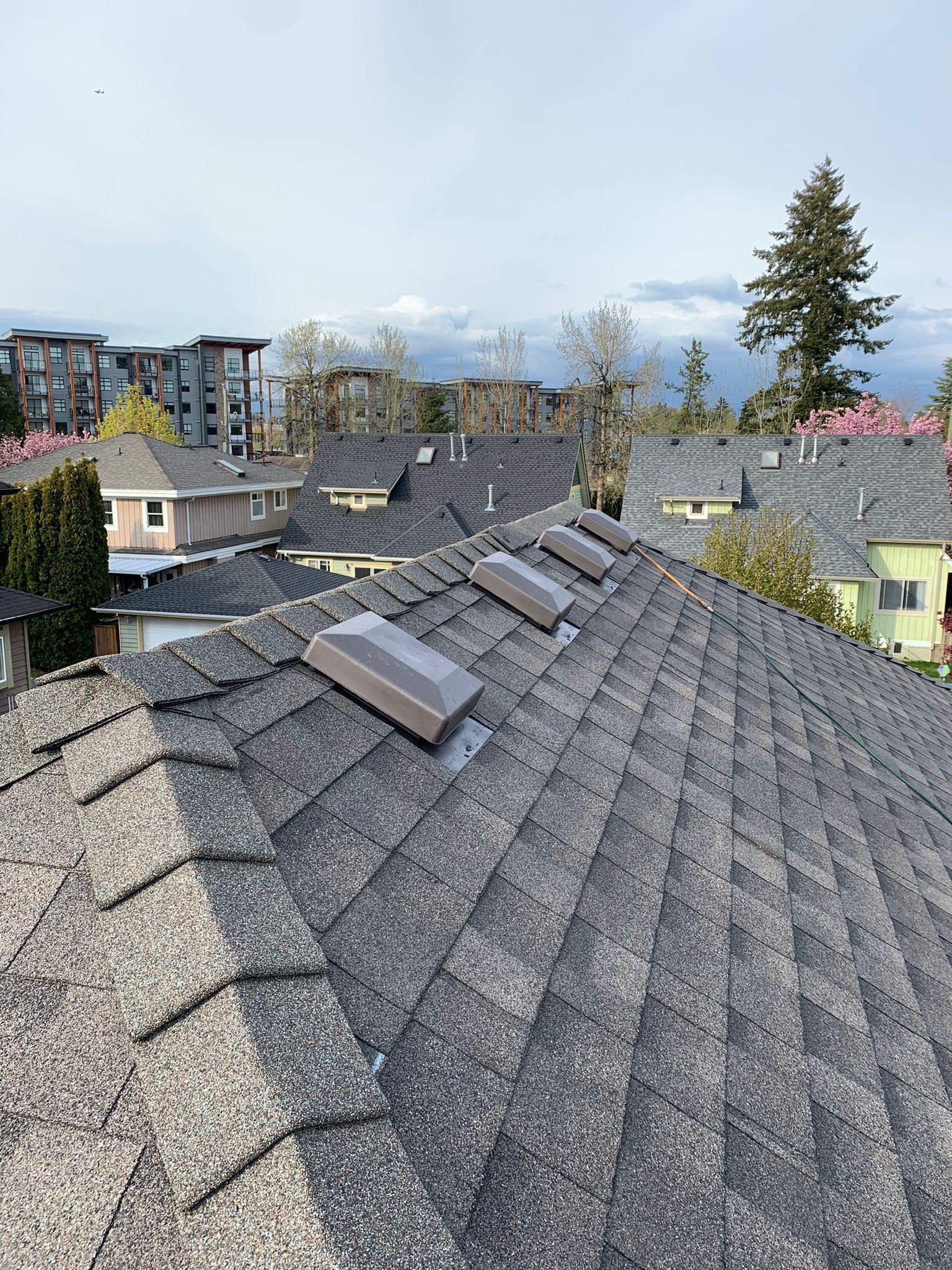 A roof with a lot of skylights on it.