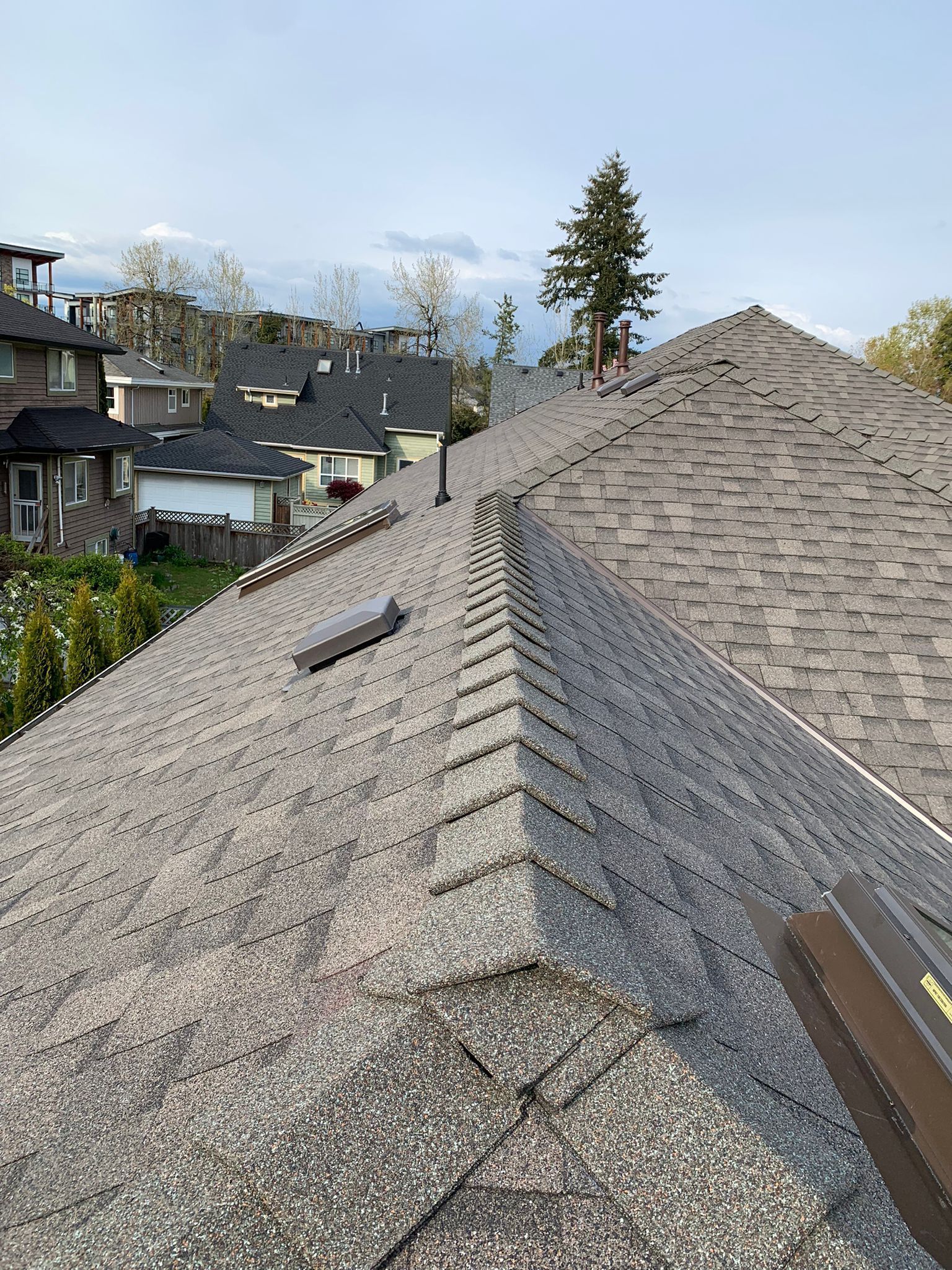 A close up of a roof with a tree in the background.