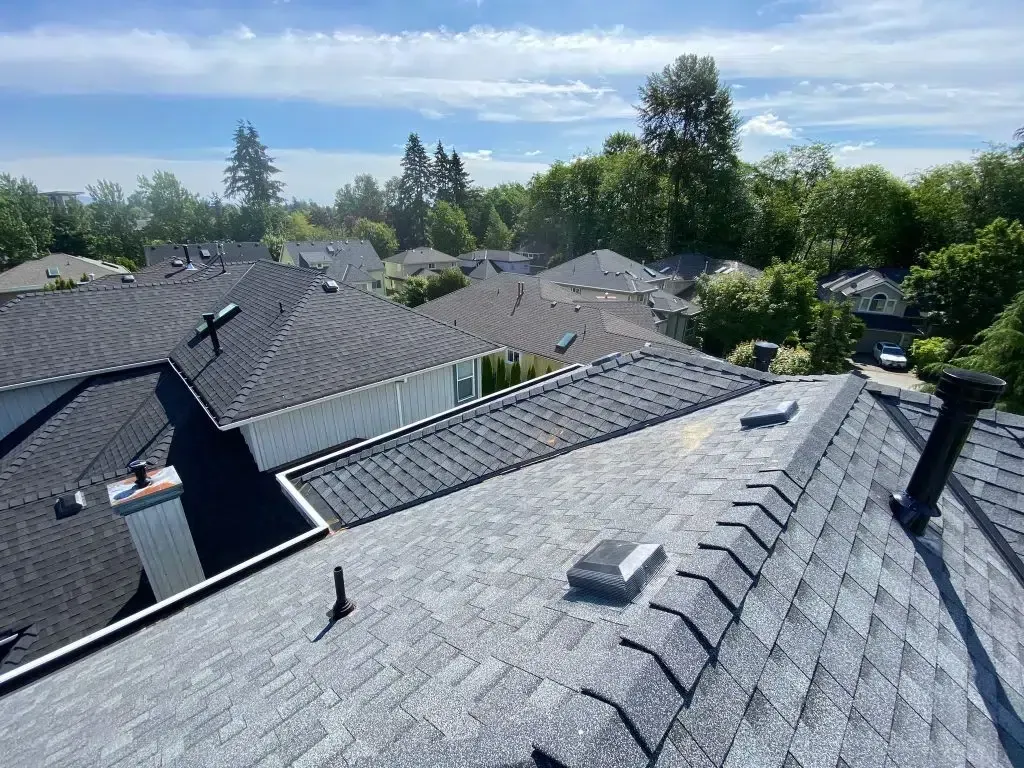 A high-angle view of multiple residential shingled roofs under a sunny, partly cloudy blue sky with trees in the background.