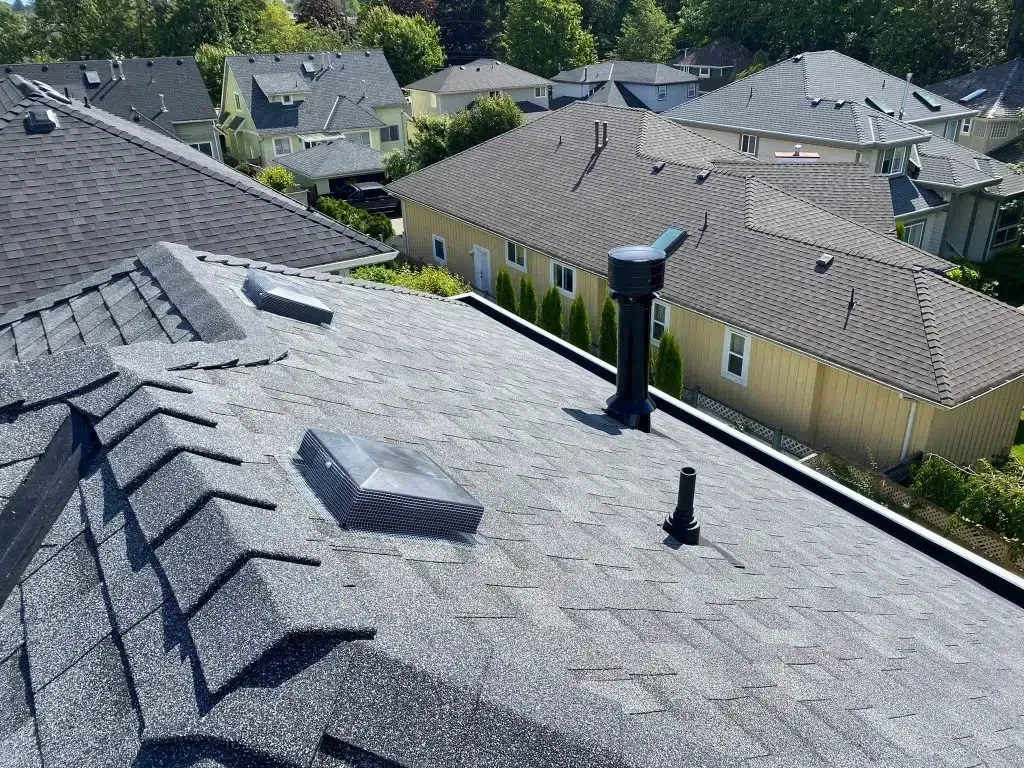 A view from a roof showing gray asphalt shingles, two skylights, a plumbing vent, and surrounding suburban houses.