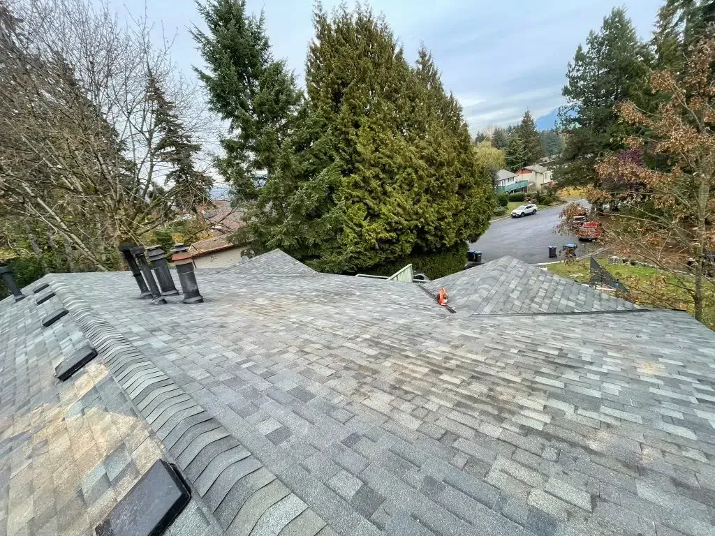 Roof with gray shingles, chimney, and trees in a suburban neighborhood under a blue sky