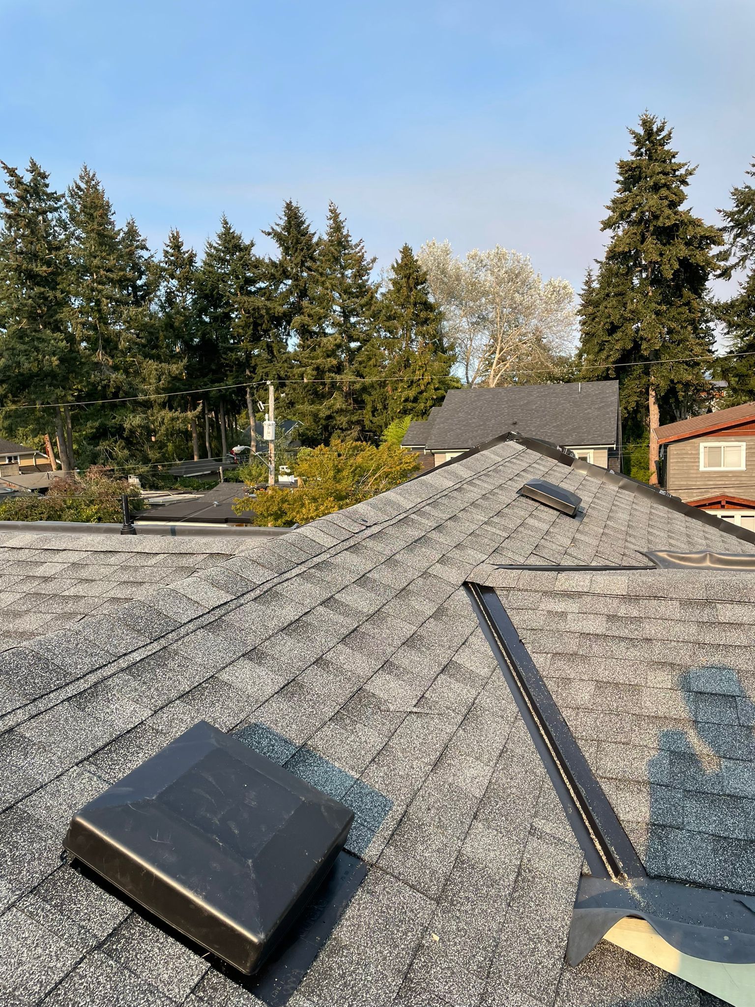 A close up of a roof with trees in the background.