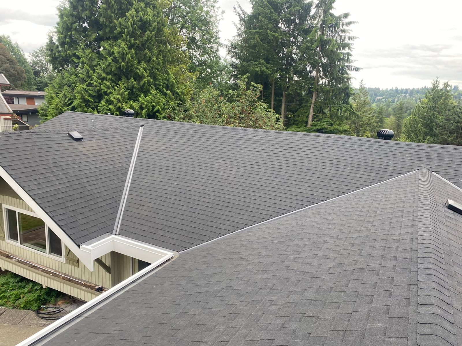 An elevated, angled view of a house roof with dark gray shingles, white trim, and surrounding green trees.