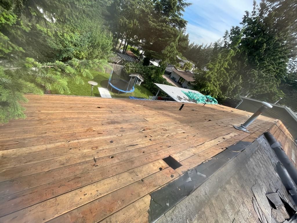 A view from a rooftop during a renovation, showing bare wooden sheathing with a patch of old black roofing paper.