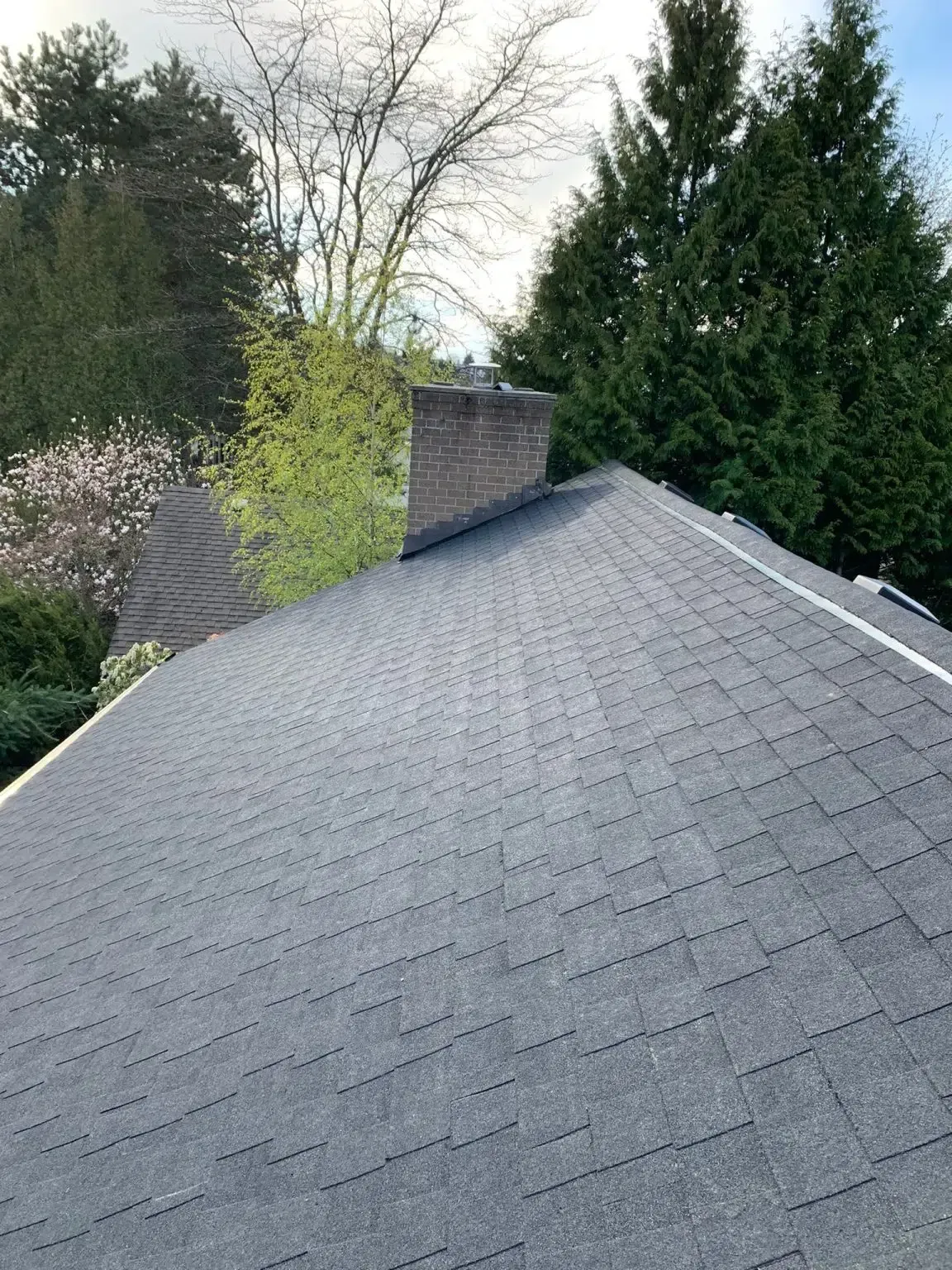 A gray shingled roof with a brick chimney, surrounded by green trees under a bright sky.