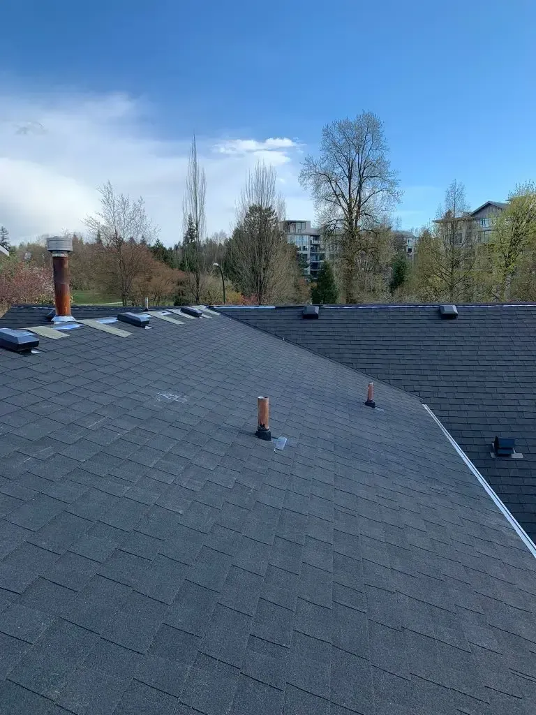 An angled view of a shingled residential roof with several vents and plumbing stacks under a clear blue sky.