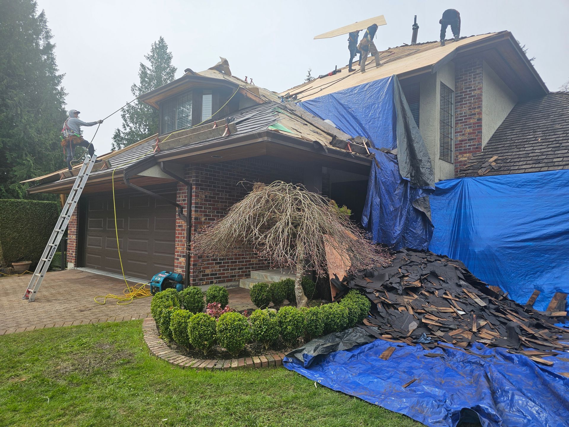 reroof service in abbotsford bc