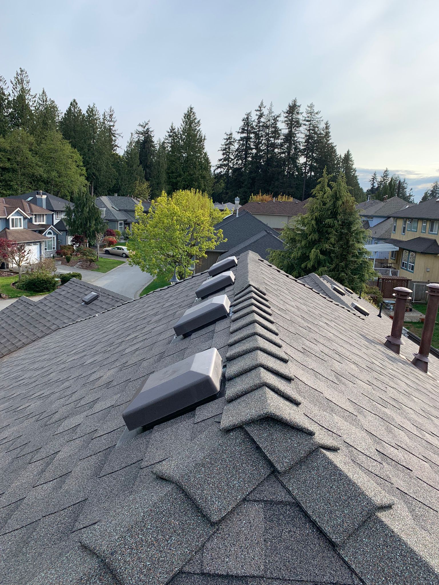 The roof of a house with a lot of windows and trees in the background.