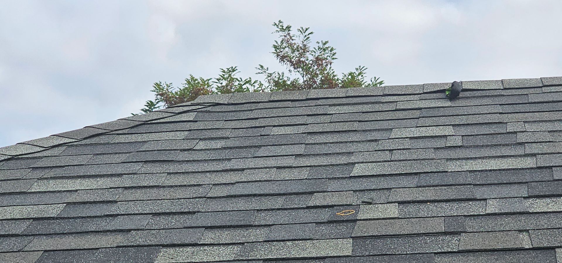 flat roof vancouver