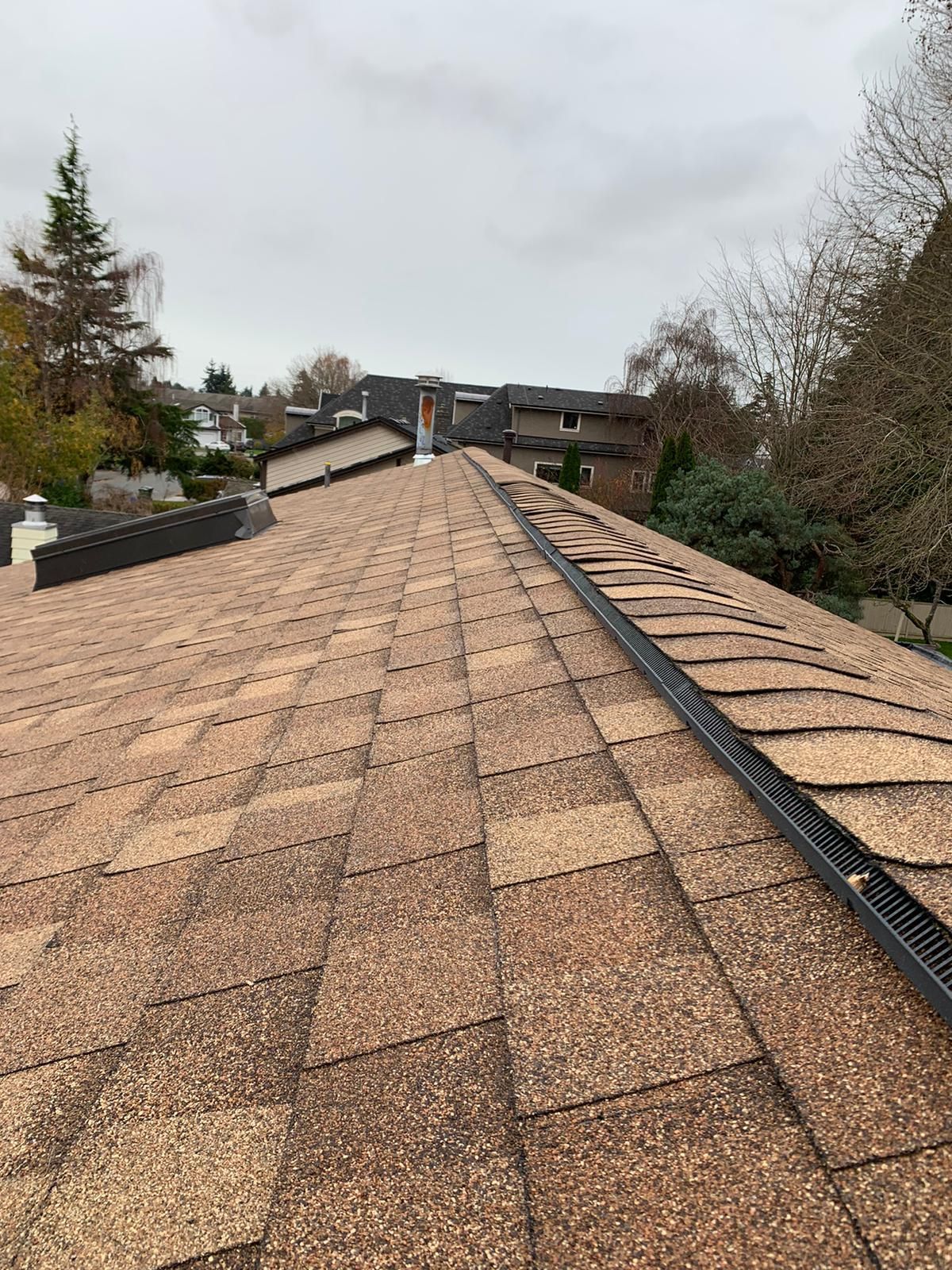 A view along a shingled roof ridge toward a neighboring house, featuring a dark plastic ridge vent cap.