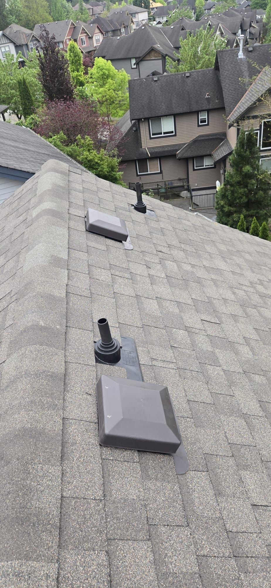 Completed roof slope with box vents and booted plumbing stacks, Maple Ridge subdivision behind, 229 St Maple Ridge BC, Paragon Roofing BC