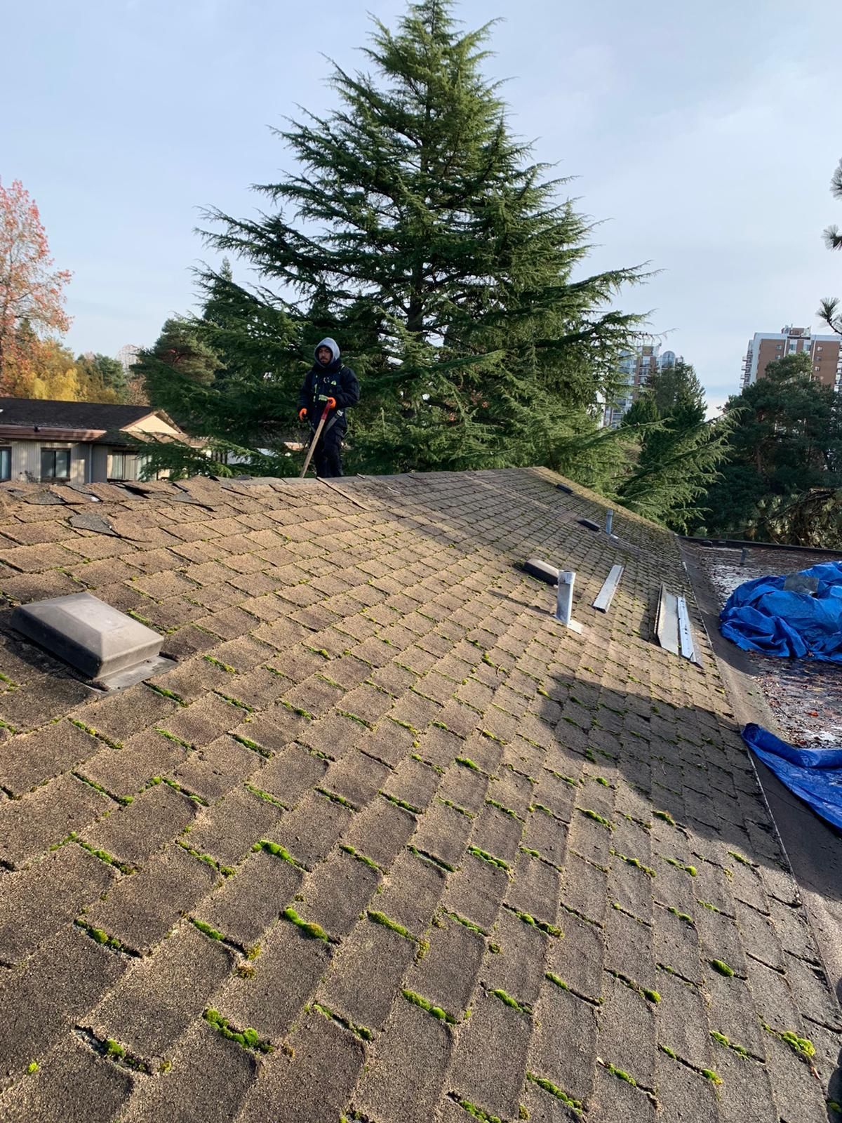 delta roofing contractors