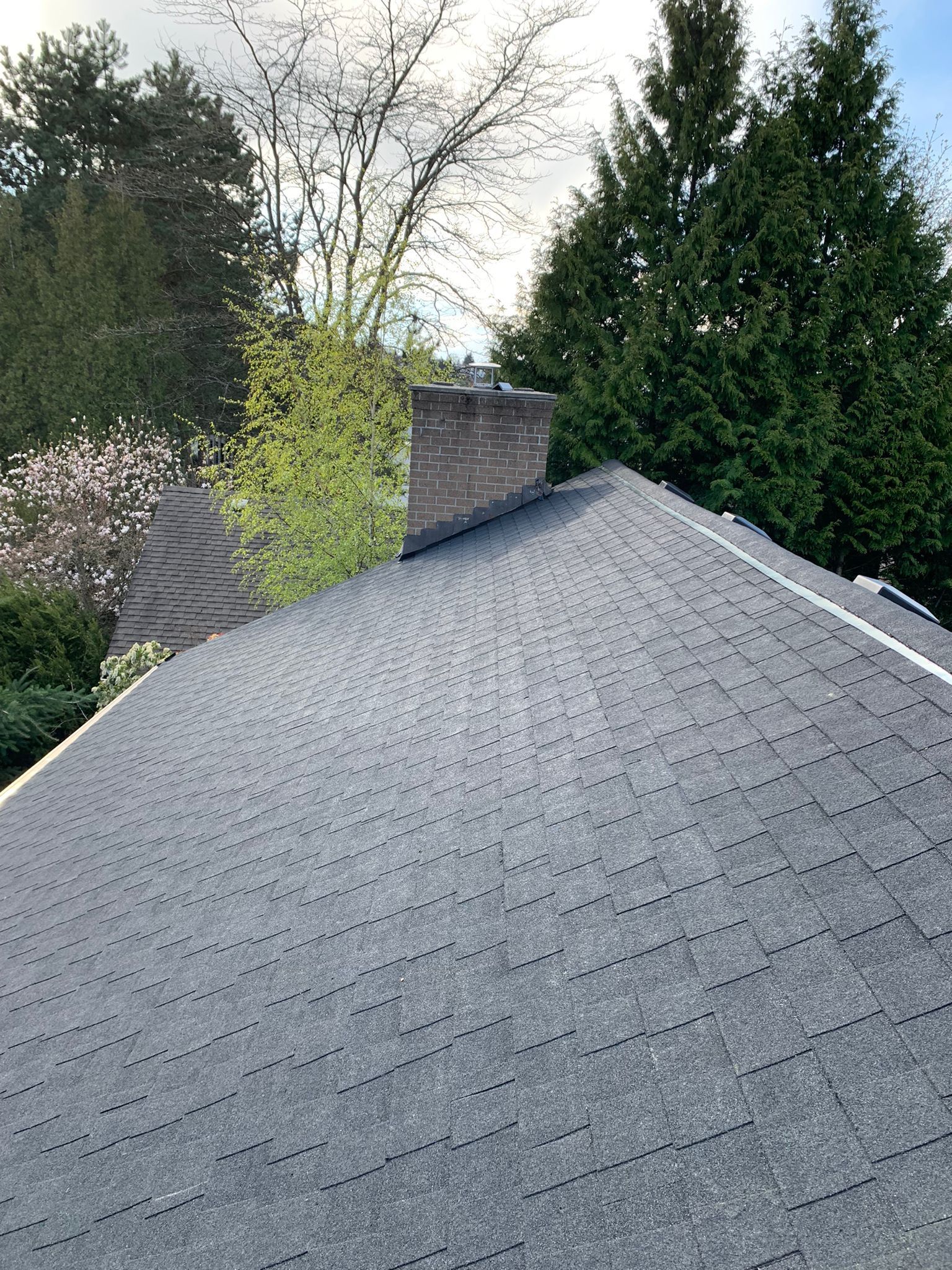 A dark shingled roof features a brick chimney, surrounded by lush green trees and a blossoming tree under a blue sky.