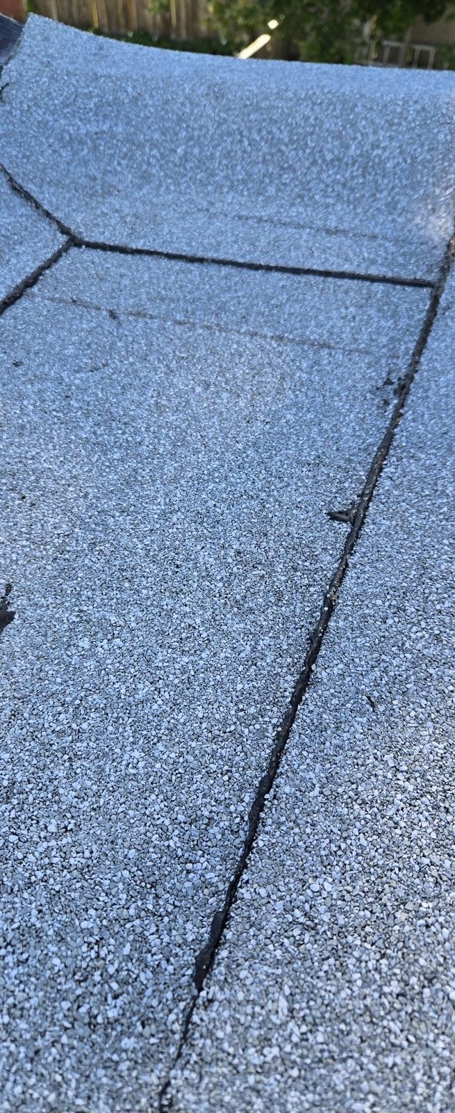 Close view of granule surfaced membrane laps with a dark bead along their edges