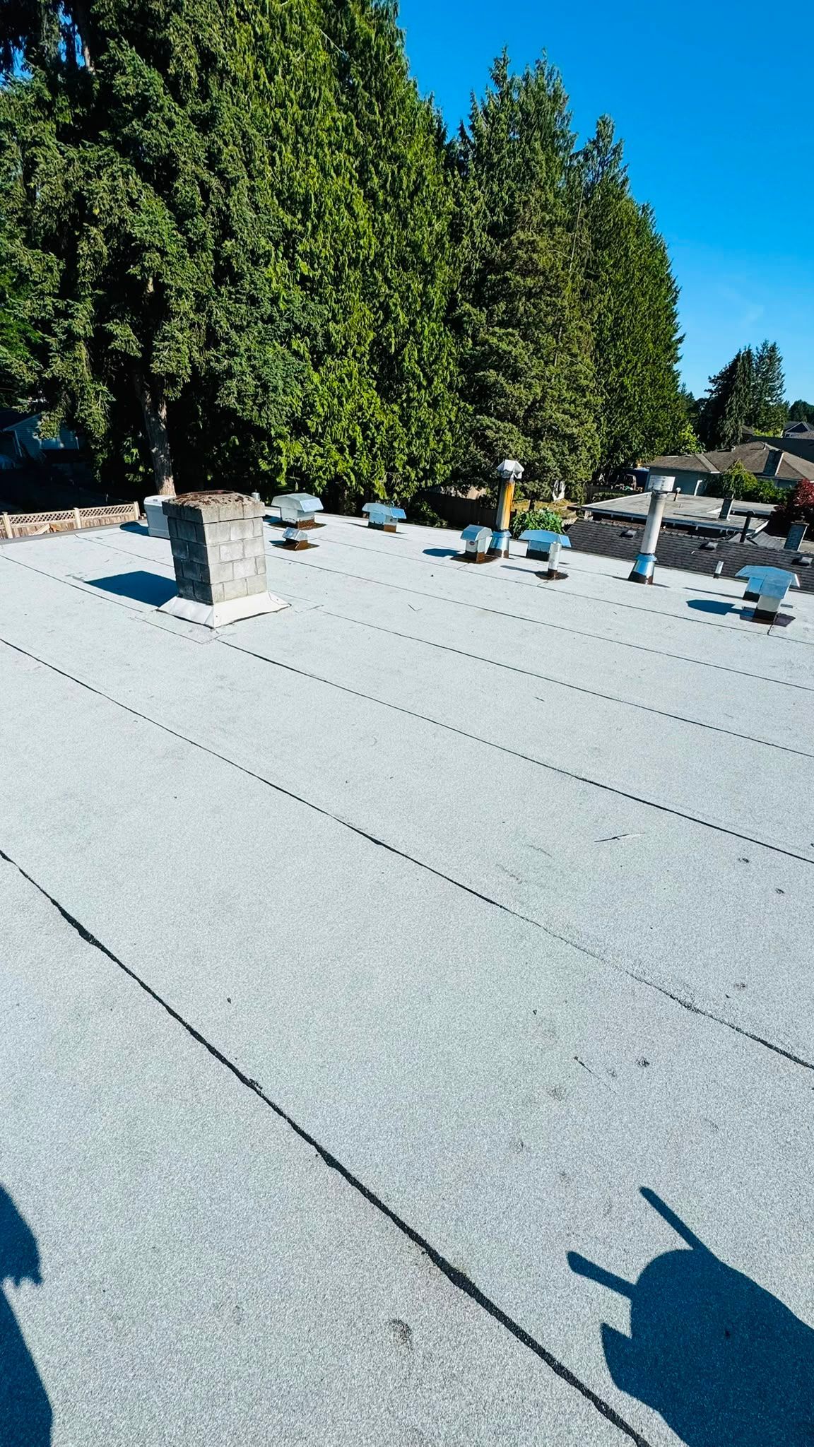 Granular membrane roof with a masonry chimney, hooded vents and pipe penetrations.