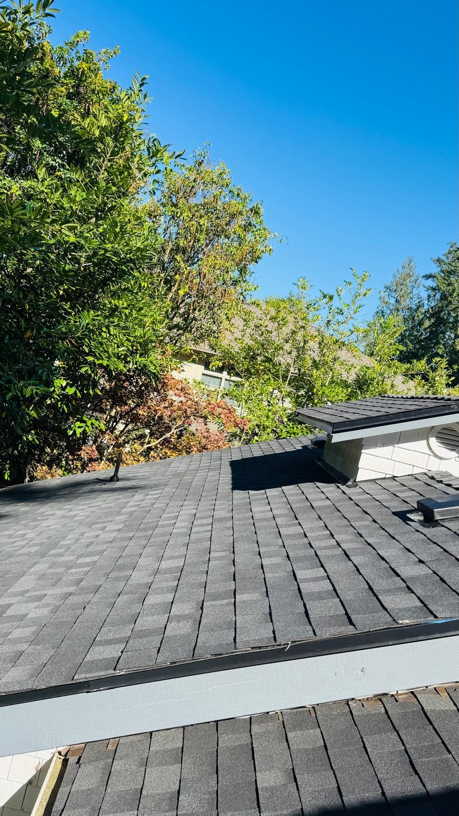 Dark drip edge metal above a painted white fascia board at a shingle roof edge