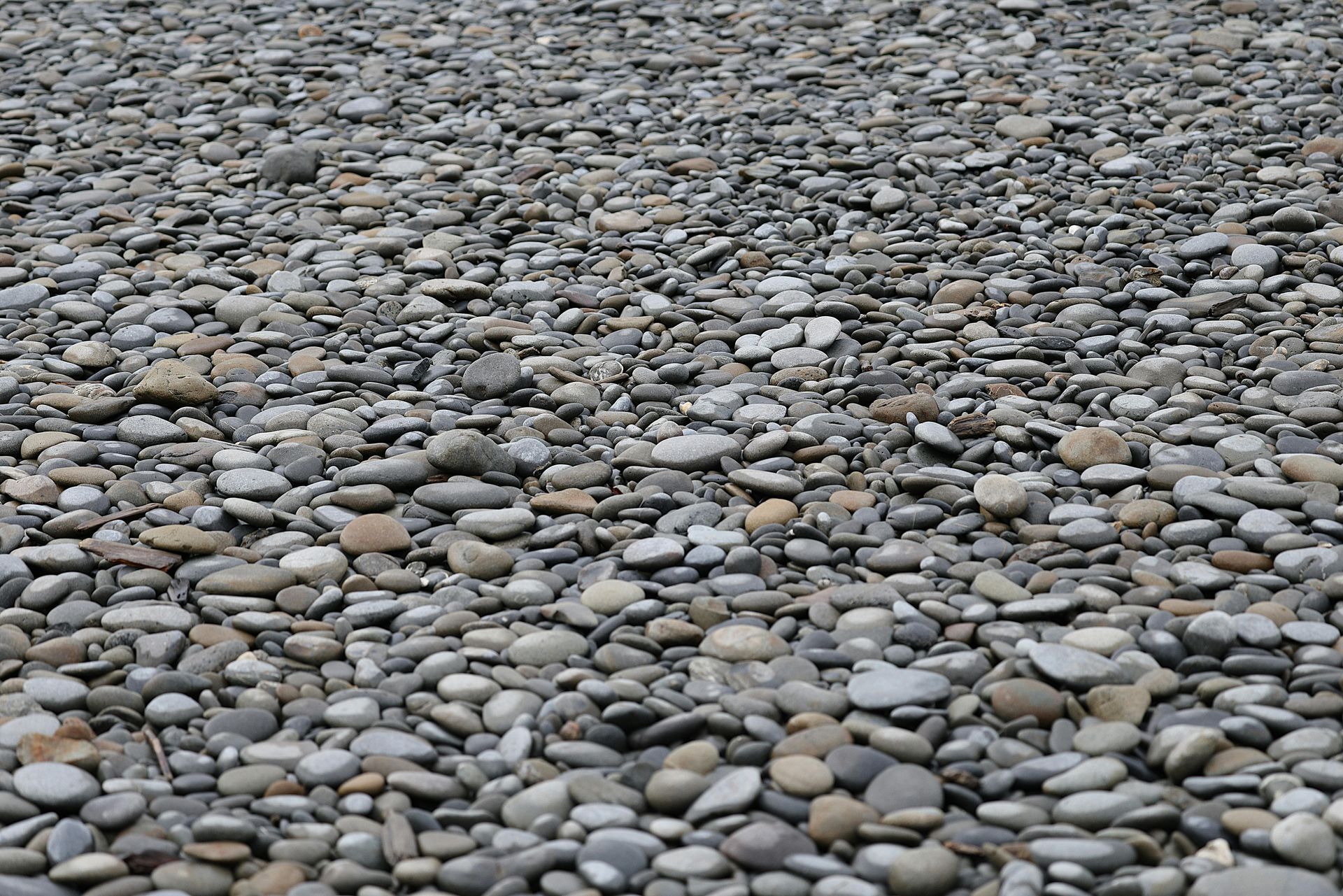Close-up of a ground covered with smooth gray pebbles and stones