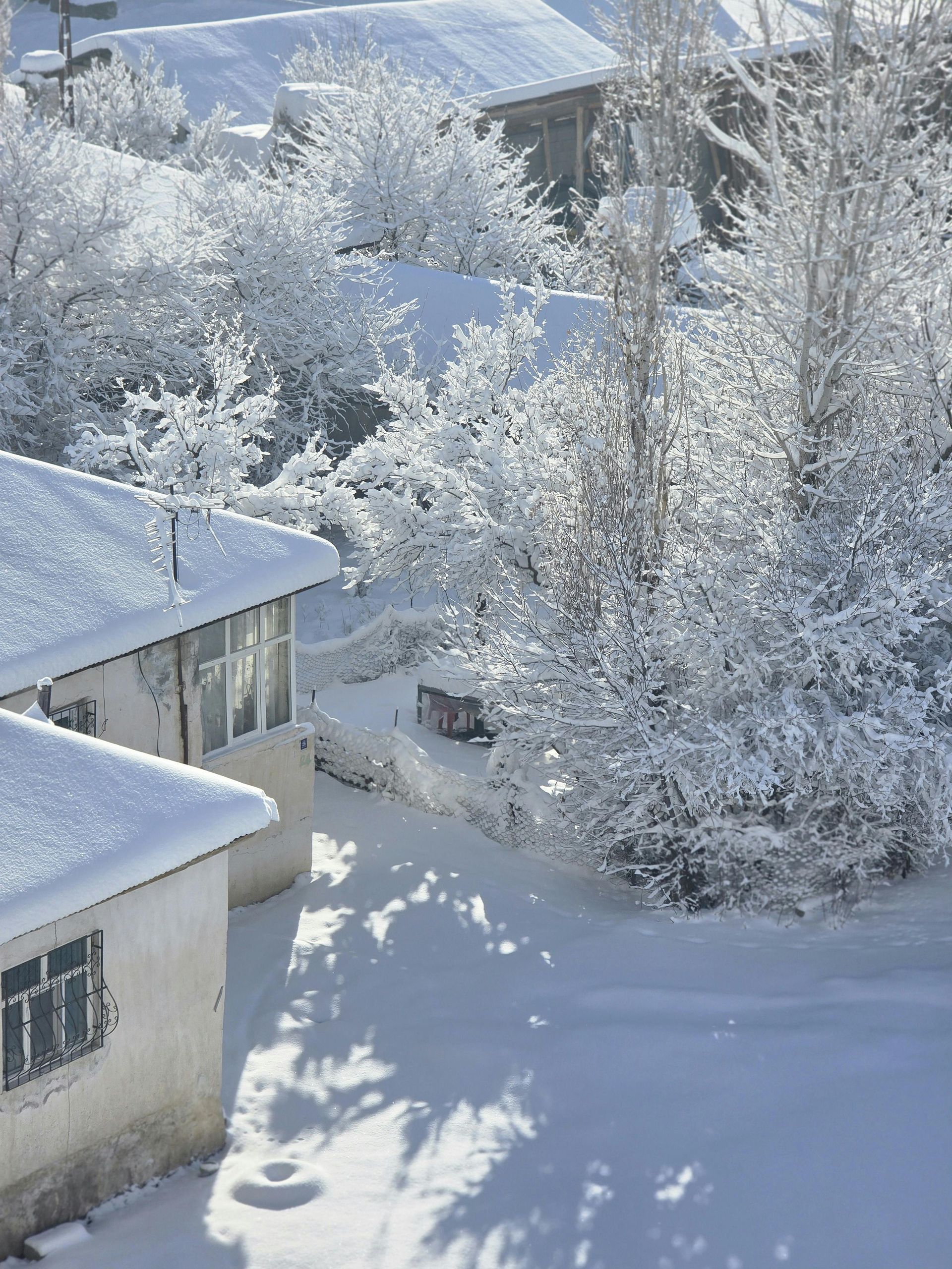 A white building with a snow-covered roof stands in a snowy yard surrounded by frost-covered trees on a sunny winter day.
