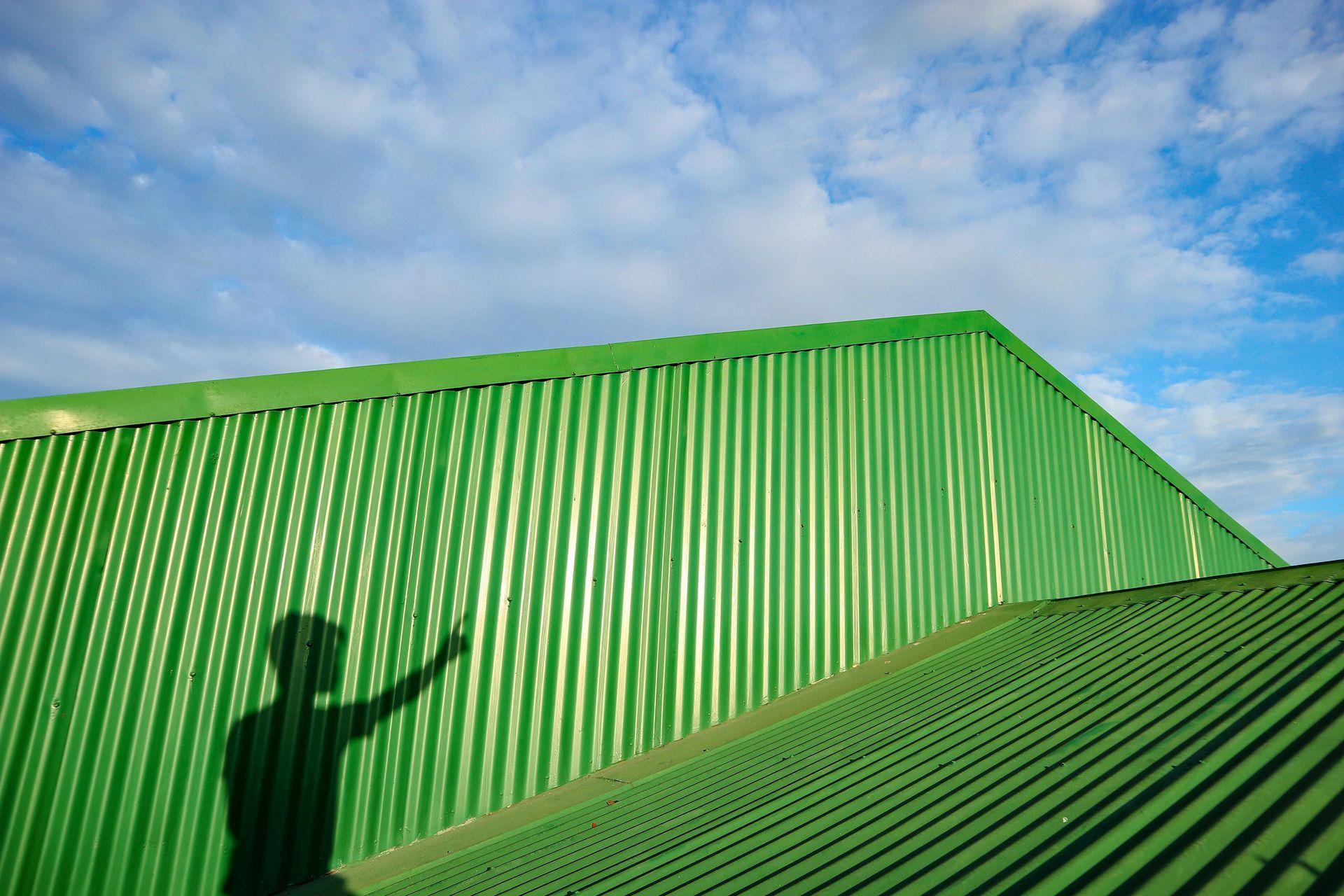 A shadow of a person is cast on a green wall.