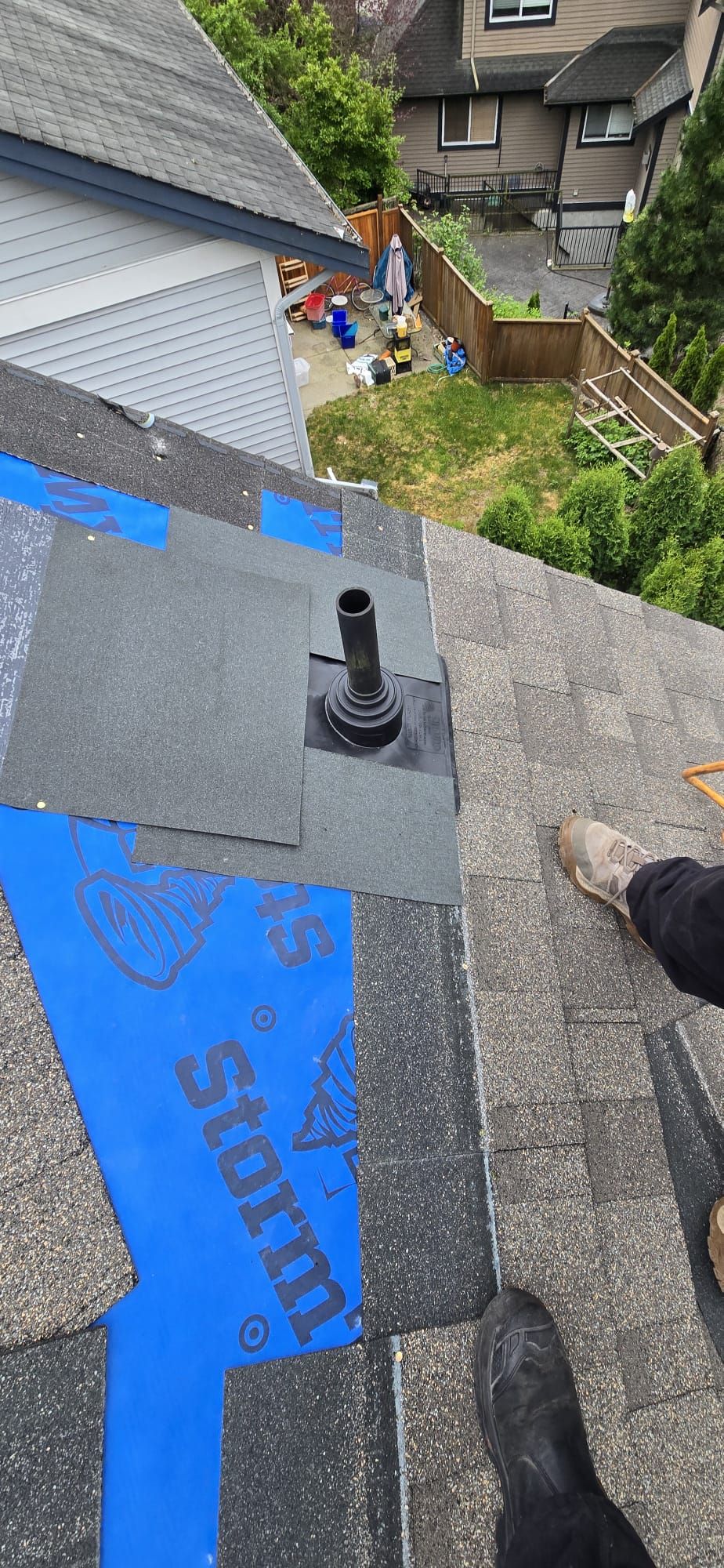 Plumbing stack sealed with a rubberized vent boot over ice and water shield next to blue RoofNado StormTread XW underlayment, 229 St Maple Ridge BC, Paragon Roofing BC