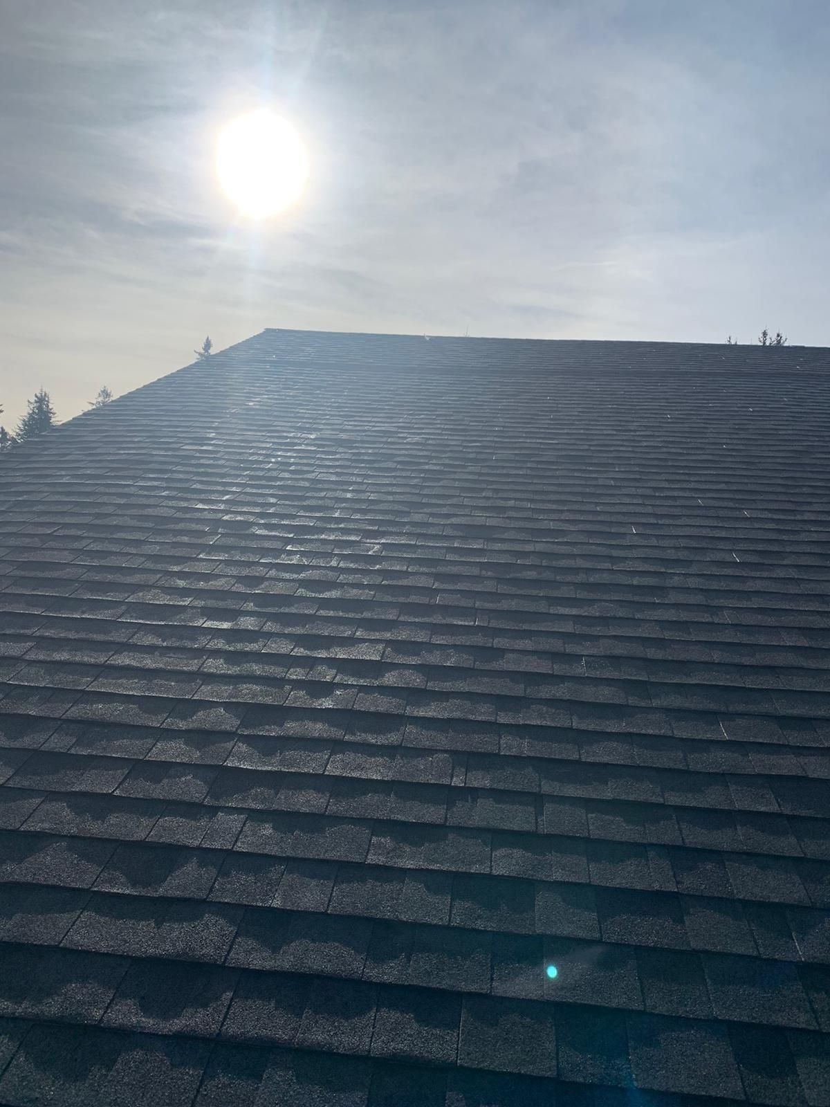 A sunlit view of dark gray asphalt roofing shingles sloping upward toward the roofline.