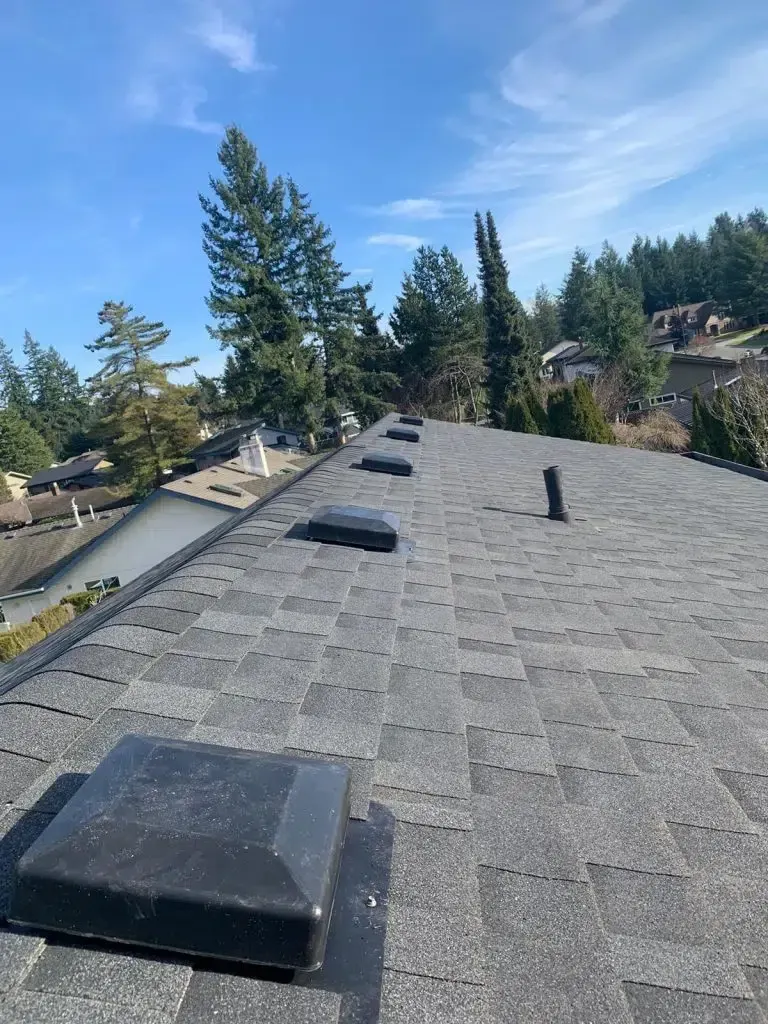 A roof with a lot of vents on it and trees in the background.