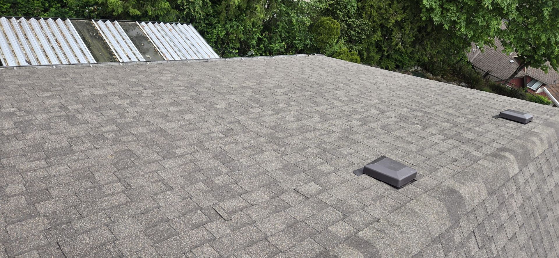 Completed field of IKO Dynasty architectural shingles with low profile box vents, 229 St Maple Ridge BC, Paragon Roofing BC