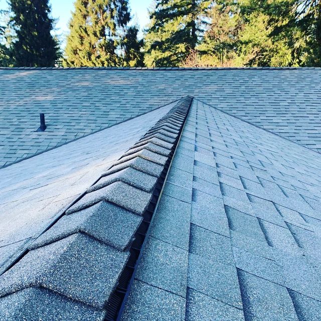 Grey shingle ridge with nearby roof vents and trees beyond