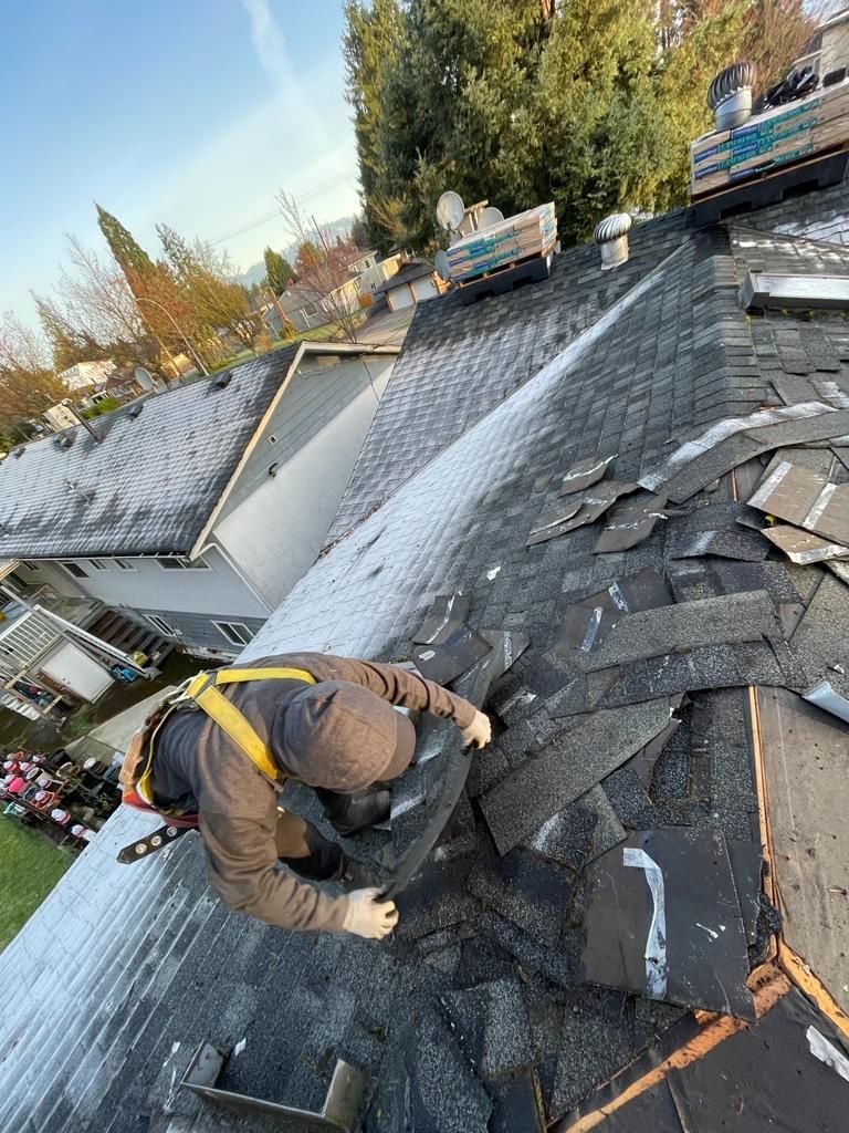 winter asphalt shingle roof replacement services in surrey bc