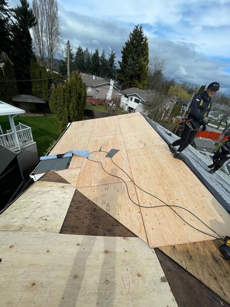 the best roofers in surrey bc