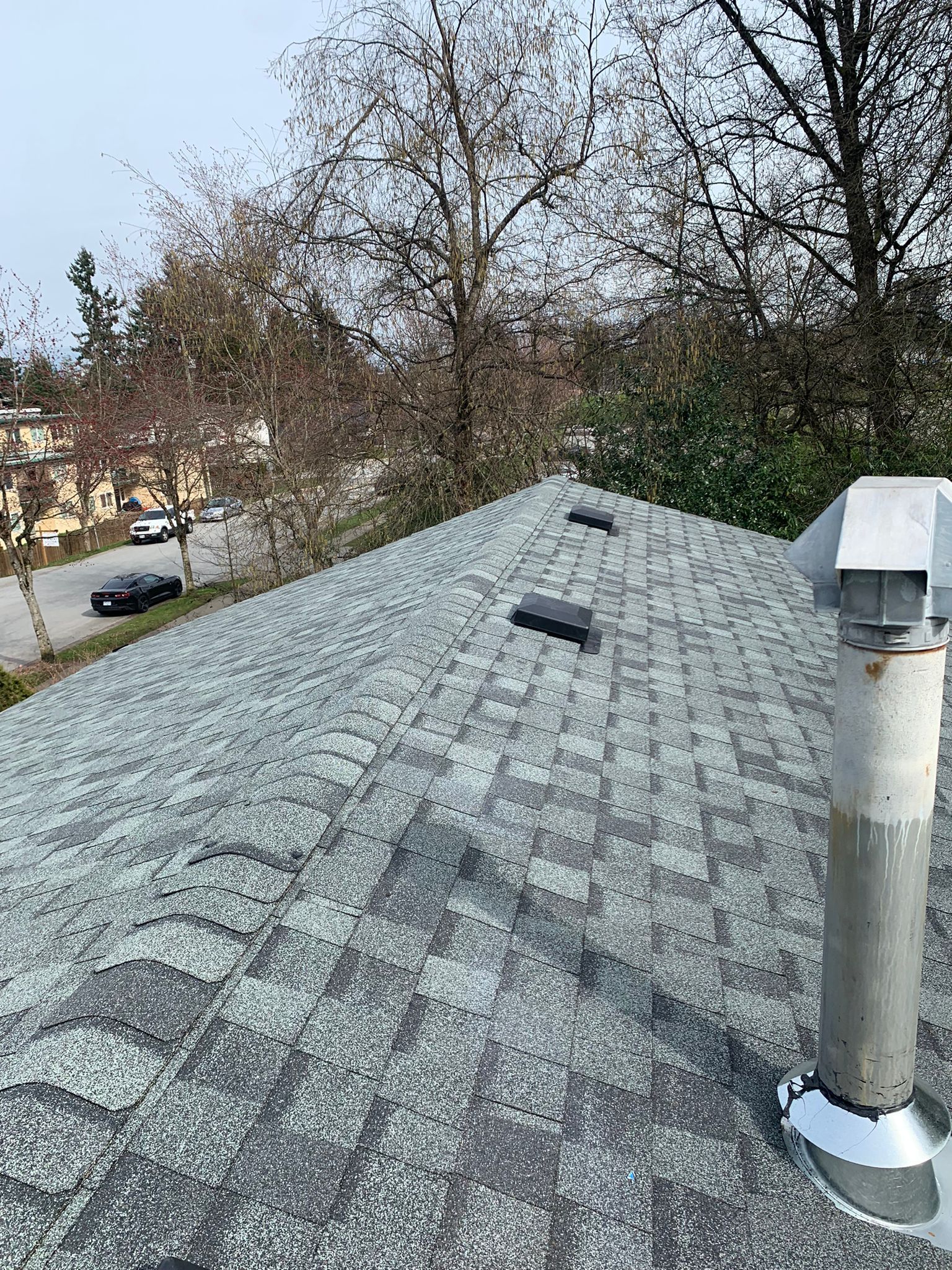 A roof with a chimney on it and trees in the background.
