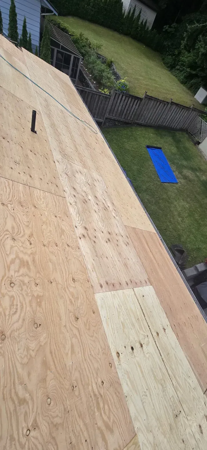 New half inch plywood re-sheet over skip sheathing during cedar conversion on Thermal Drive Coquitlam, Paragon Roofing BC
